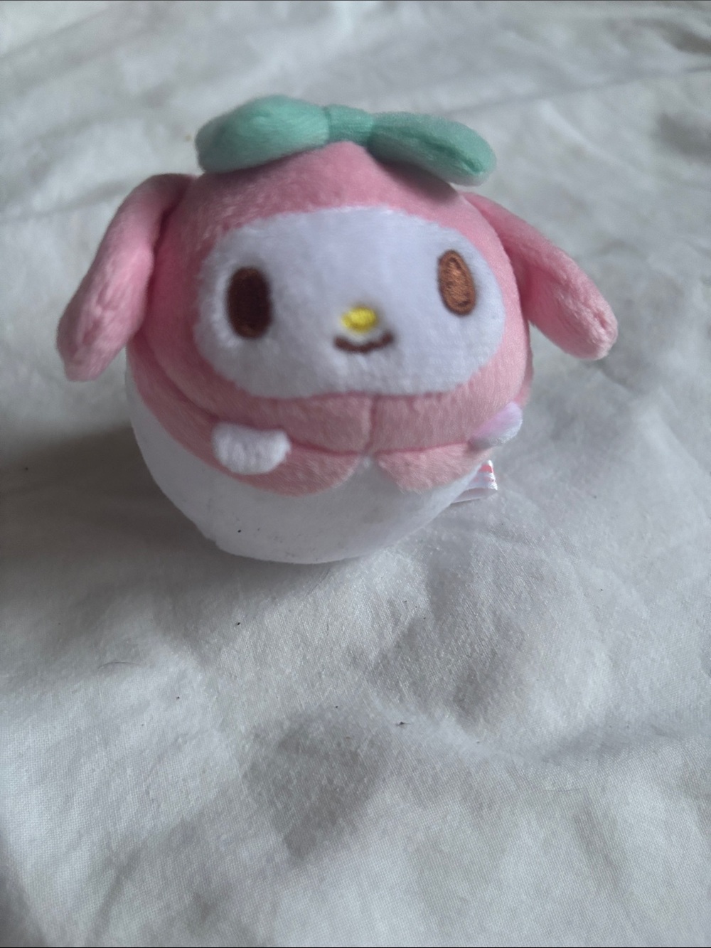 My melody Plus